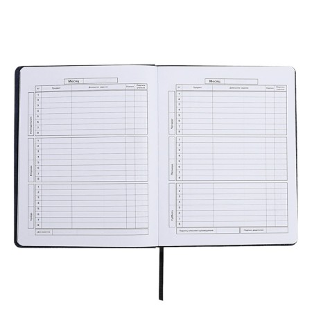 School diary for grades 1-11, dragon's eye, hard cover, artificial leather, application, pancake embossing, foil embossing, universal cheat sheet, 48 sheets, block 80g/m2-8