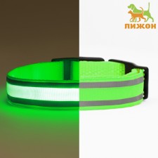 Collar with backlighting double strip size m, Osh 40-48 x 2.5 cm, 3 glow modes Green