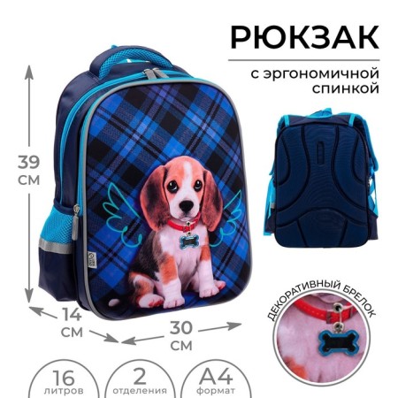 Backpack school Calligrata "Dog", 39 x 30 x 14 cm-1