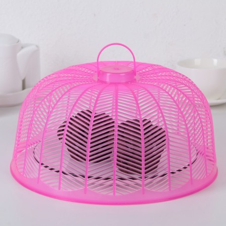 Protective grid for food, 25.5 × 13.5 cm, color mix-6