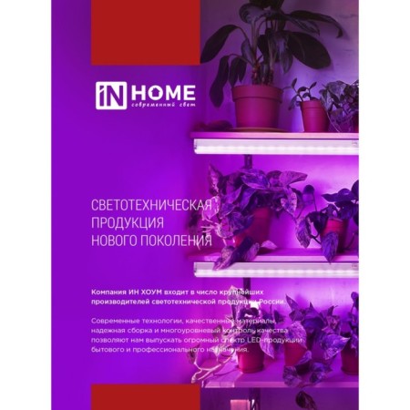 Phytoslight LED in Home, 20 W, 230 B, 1170 mm, SPb-T5-Fito-6