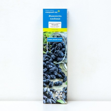 Assistant honeysuckle (series North Garden) "Azure", 1 pc, tube, spring 2025