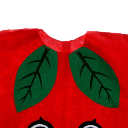 Carnival set "Juicy Apple", felt-6