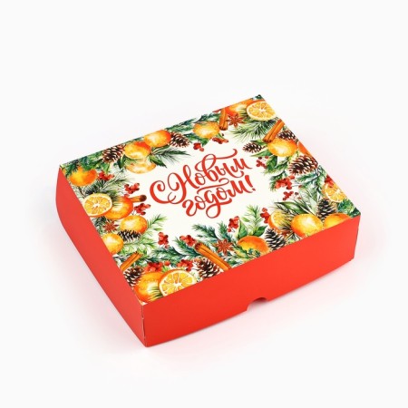 Packaging for confectionery "New Year's Botany", 20 x 17 x 6 cm, New Year-1