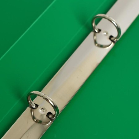Folder on 4 rings A4, Calligrata, 25 mm, 500 μm, green-2