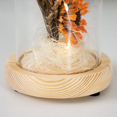 Nightlight "Orange flowers" LED from battery 3xlr44 10x10x20 cm Risalux-4