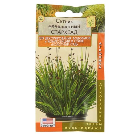 Seeds of Sitnik "Starhead", 3 pcs