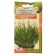 Seeds of Sitnik "Starhead", 3 pcs