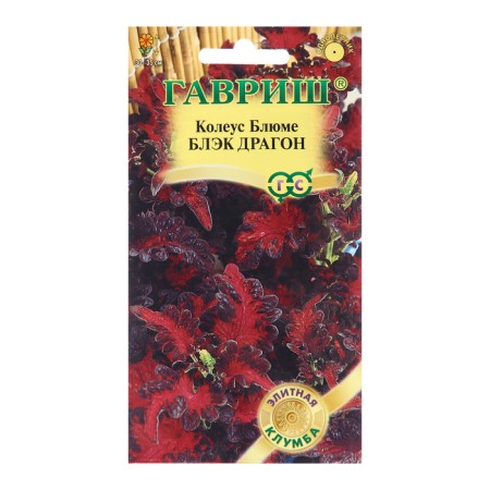 Seeds Koleus "Black Dragon", 4 pcs.