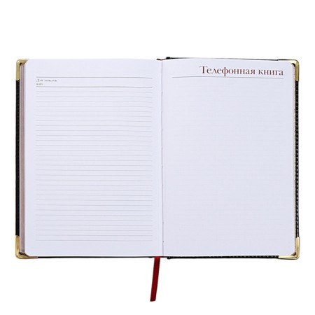 Diary of a low -up A5+, 136 sheets of Sidney Nebraska, solid cover, artificial leather, gold cut, golden corners, black-14