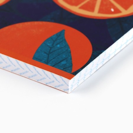 A4 notebook A4, 80 sheets on the paper clip “September 1: Citruses”-1