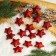 Figure for crafts and decor "Star", set 15 pcs, size 1 pc: 3.5 × 3.5 × 2 cm, red color