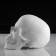 Anatomical gypsum figure: anatomical skull, 14.5 x 22 x 16.5 cm