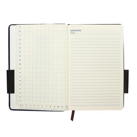 Lowed diary, PVC cover, A5 format, 140 sheets in a cage, metallic, mix-9