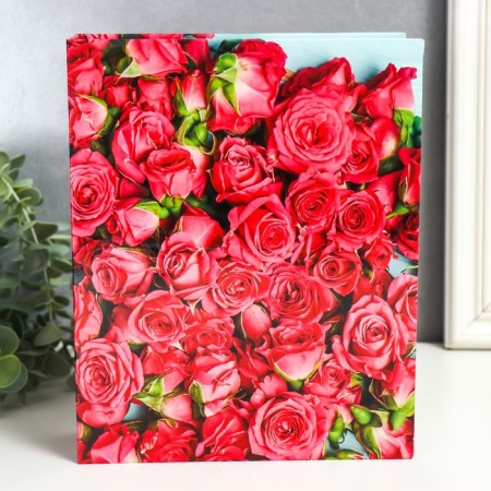 Photo album for 200 photos "Rose-3" 10x15 cm mix-2