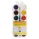Watercolor 12 colors "Gamma" "Young Artist", honey, with a brush, plastic