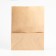 Paper Craft package, bearing, rectangular bottom, 22 x 12 x 29 cm, 50 g/m2