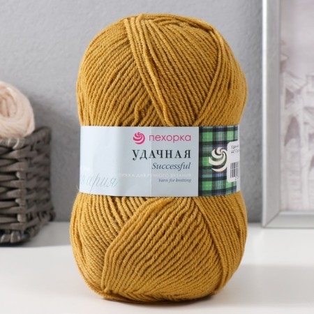 Yarn "Successful" 50% wool, 50% acrylic 250m/100g (447-gorchitsa)
