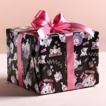 Package paper, cats aristocrats, 70x100 cm-1