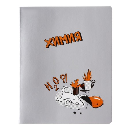 A set of subject notebooks, 48 ​​sheets of 12 objects "dog and cat", cardboard cover, foil embossing, offset unit-11