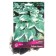 Host Hybrid Robert Frost, I Rn, 1 pc. 60*90 h (cm), autumn 2024