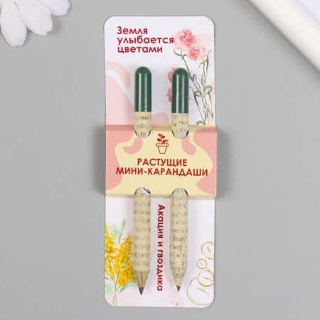 Growing gift pencils mini "Acacia and clove" set 2 pcs