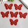 Decor for creativity Textile Embroidery "Butterfly red" double wings 3.7x5.2 cm