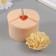 Silicone Mold "Pion Madagascar" d = 6 cm, height 4.5 cm mix