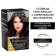 Hair dye l’Oreal Preference Recital "noble plum", tone 4.26, saturated cold purple