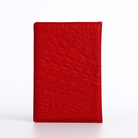 Cover for passport, red color-1