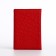 Cover for passport, red color