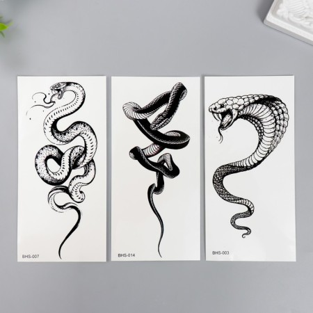 Tattoo on the body Black "Snake" mix 14x7 cm-1