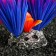 Artificial aquarium plant, 18 x 10 x 11.5 cm, red-violet