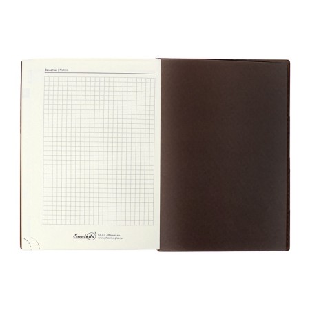 Dated 2025 diary, Escalada, A5+ 176 sheets, integral cover, artificial leather, foil embroidery, liesse, block 80 g/m2, brown-13