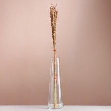 Set of dried flowers 