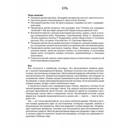 Листья и плоды. Куликовская Т.-2