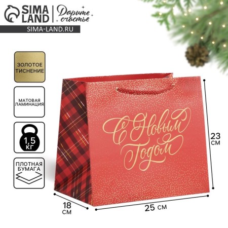 Laminated “Cell” package, 25 x 23 x 18 cm, new year