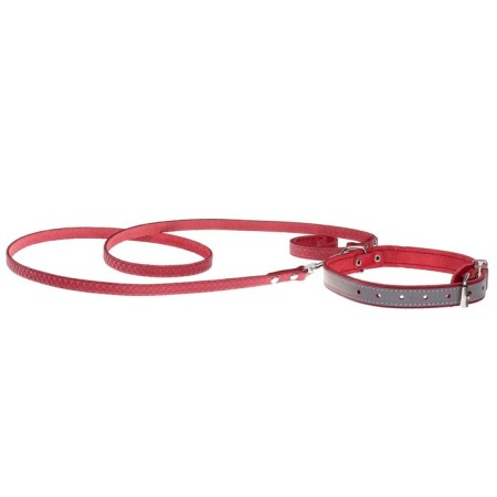 Set of collar (34-45x2 cm) reflective and leash (130x1 cm), red-4