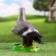 Garden Figure "Pigor Premier" 15x23cm