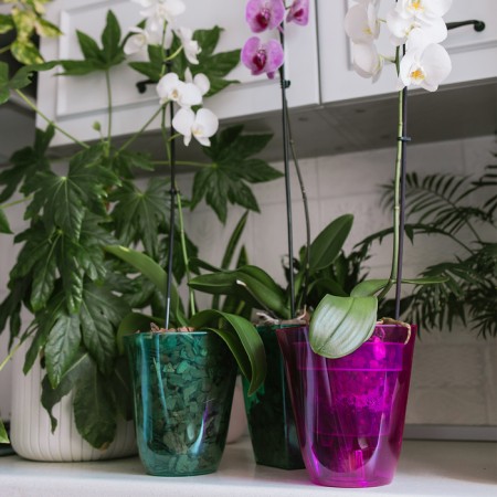 Pot for orchids, 2.5 l, 16.4 × 18.5 cm, plastic, transparent raspberry-3