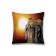 Decorative pillowcase "Leopard at sunset", on a zipper, size 45x45 cm