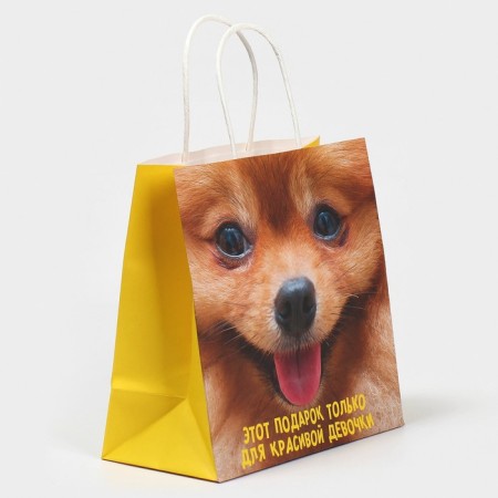 Gift package, packaging, "gift", 22 x 22 x 11 cm-1