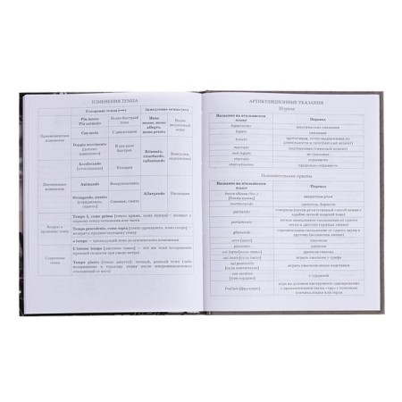 Diary for a music school, 48 sheets, hard cover, matte lamination, selective varnish, with reference information, block 60g/m2-15