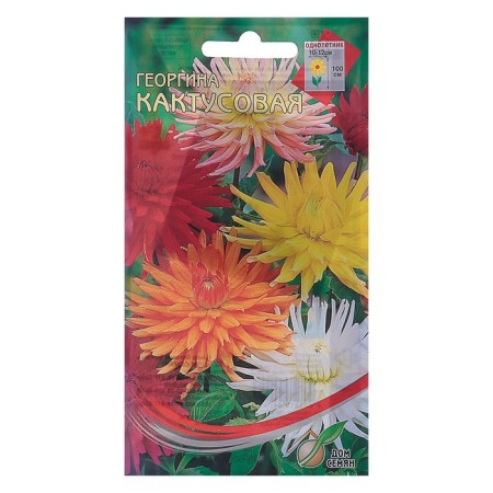 Georgin's flowers "cactus" House of seeds, mixture, o, 15 pcs