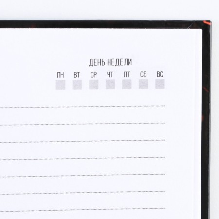 Diary "Real" A5, 80 sheets-3