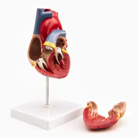 Matcage "Heart" isolate 13*8cm-4
