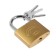 The castle of the hinged type 14, 63 mm, 3 keys