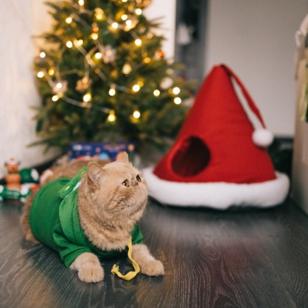 Animal costume "Christmas tree", size XS, green-11