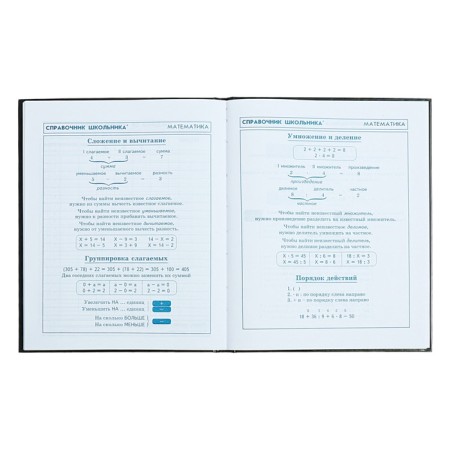 Diary for grades 1-4, 48 sheets of the "Dragon Eye", solid cover cardboard 7BC, glossy lamination, cheat sheet, 65 g/m2-9
