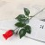 Rose 2